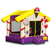 fashion inflatable bouncer